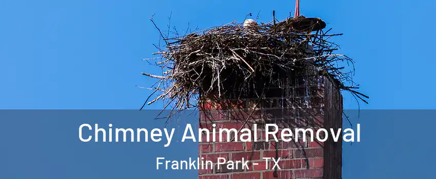 Chimney Animal Removal Franklin Park - TX