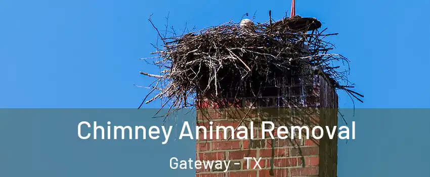 Chimney Animal Removal Gateway - TX