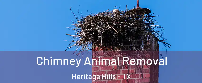 Chimney Animal Removal Heritage Hills - TX