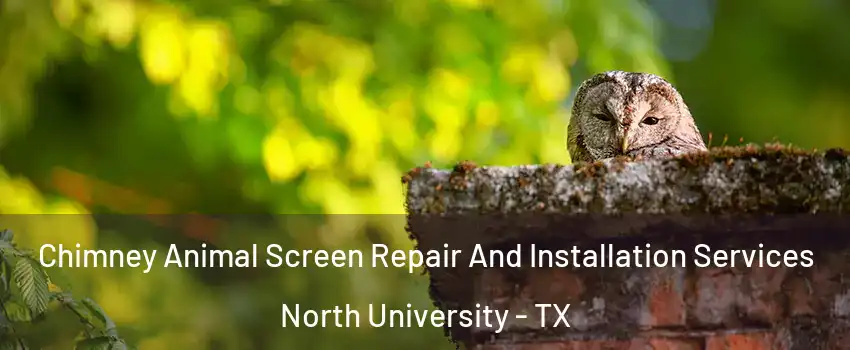 Chimney Animal Screen Repair And Installation Services North University - TX