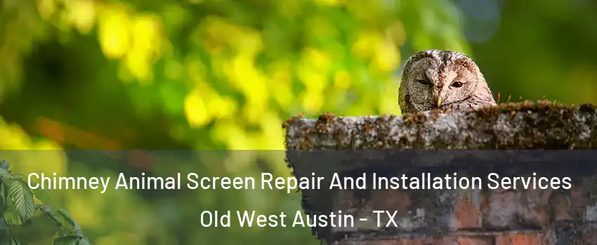 Chimney Animal Screen Repair And Installation Services Old West Austin - TX