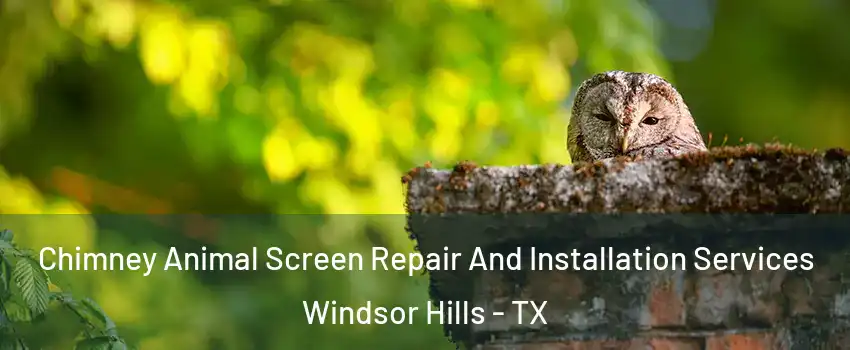 Chimney Animal Screen Repair And Installation Services Windsor Hills - TX