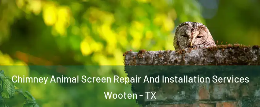 Chimney Animal Screen Repair And Installation Services Wooten - TX