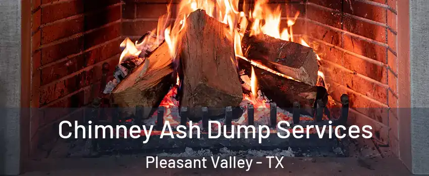 Chimney Ash Dump Services Pleasant Valley - TX