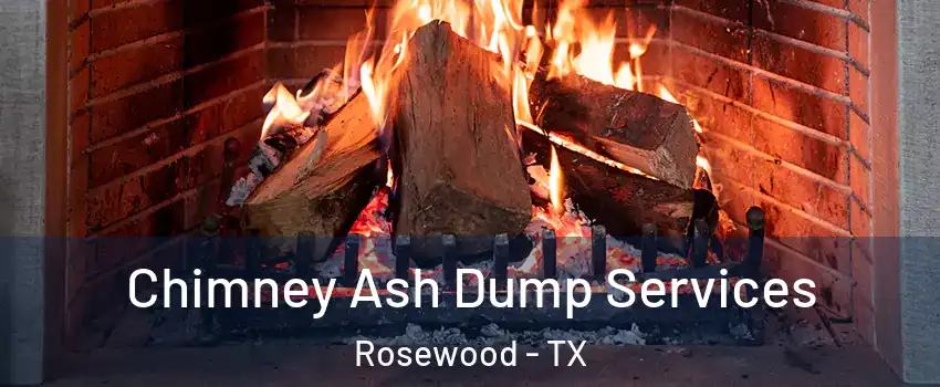 Chimney Ash Dump Services Rosewood - TX