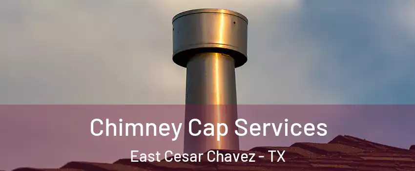 Chimney Cap Services East Cesar Chavez - TX