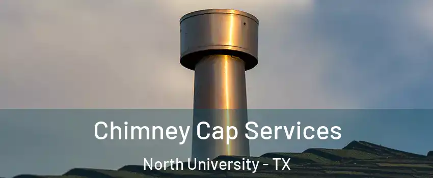 Chimney Cap Services North University - TX
