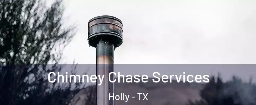 Chimney Chase Services Holly - TX