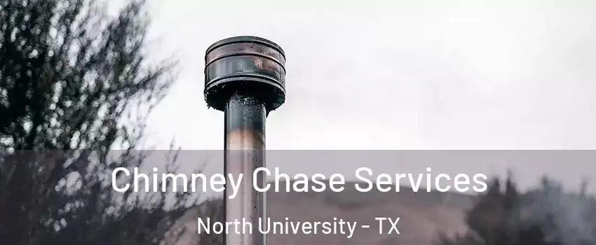 Chimney Chase Services North University - TX