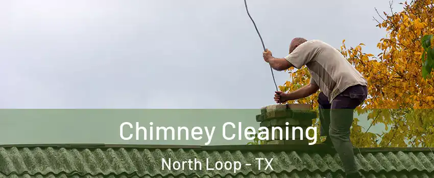 Chimney Cleaning North Loop - TX