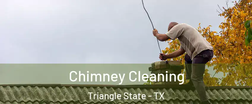 Chimney Cleaning Triangle State - TX