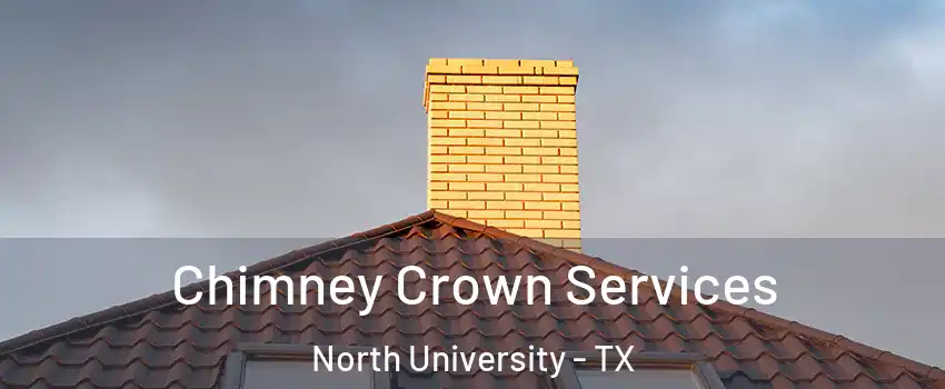 Chimney Crown Services North University - TX