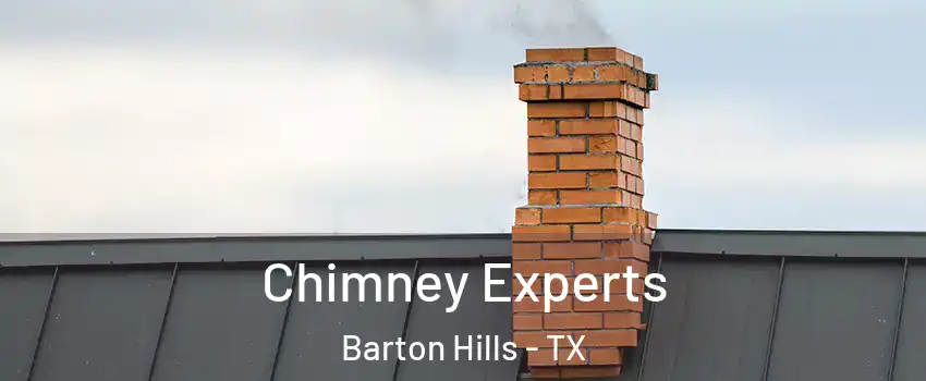Chimney Experts Barton Hills - TX