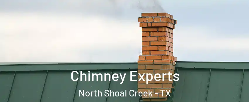 Chimney Experts North Shoal Creek - TX