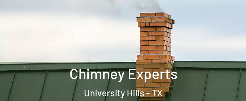 Chimney Experts University Hills - TX