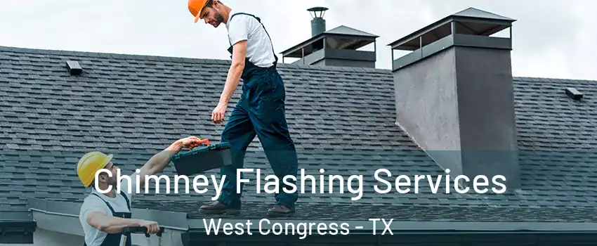 Chimney Flashing Services West Congress - TX
