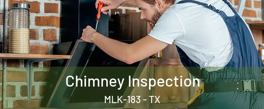 Chimney Inspection MLK-183 - TX