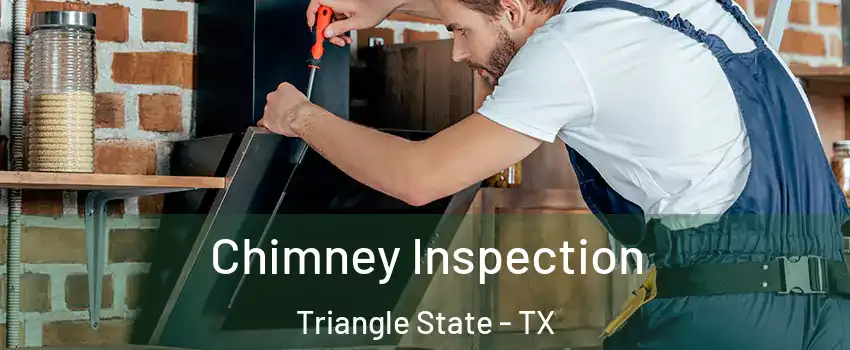 Chimney Inspection Triangle State - TX