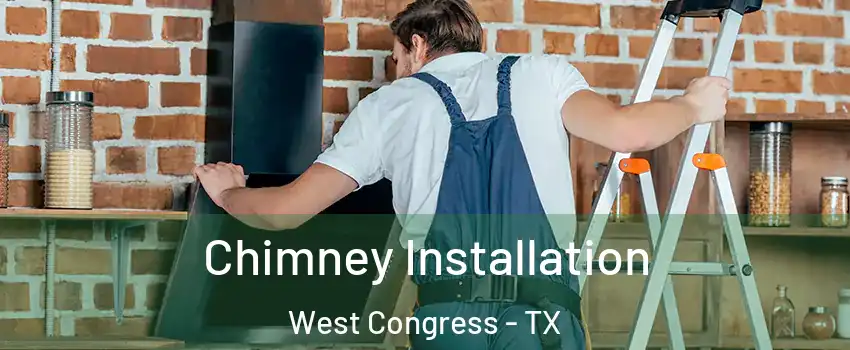 Chimney Installation West Congress - TX