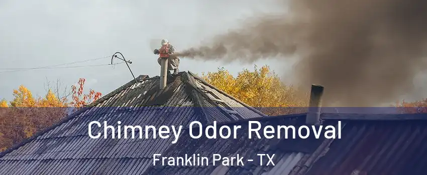 Chimney Odor Removal Franklin Park - TX