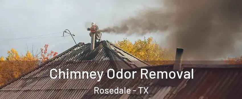 Chimney Odor Removal Rosedale - TX
