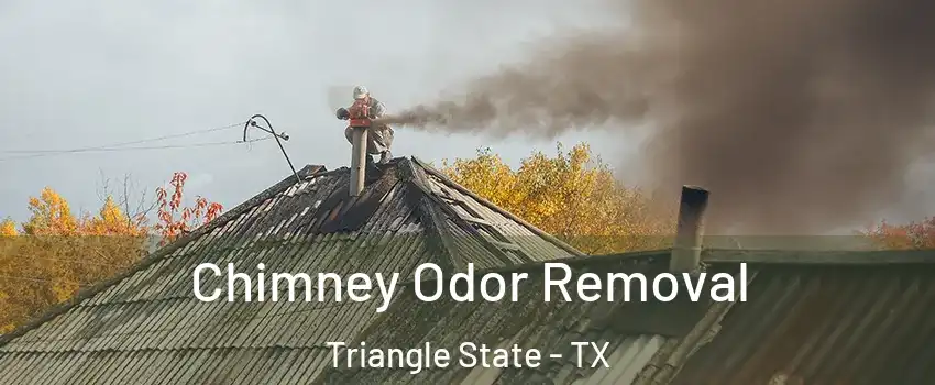 Chimney Odor Removal Triangle State - TX