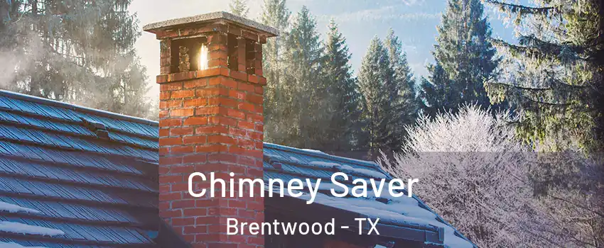 Chimney Saver Brentwood - TX