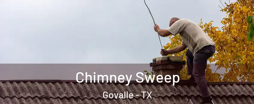 Chimney Sweep Govalle - TX