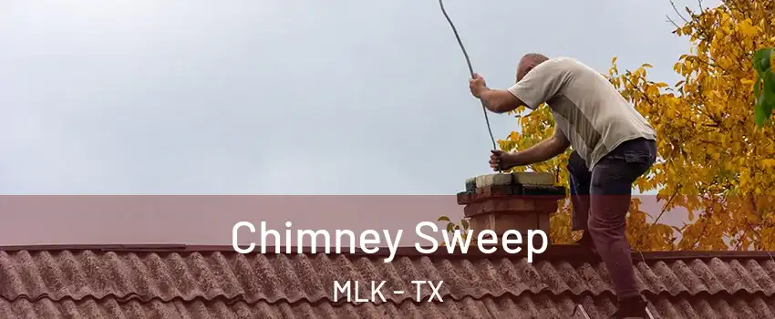 Chimney Sweep MLK - TX