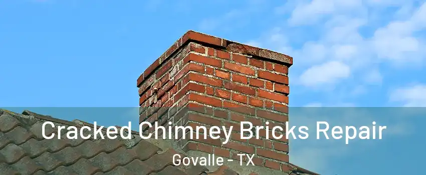 Cracked Chimney Bricks Repair Govalle - TX