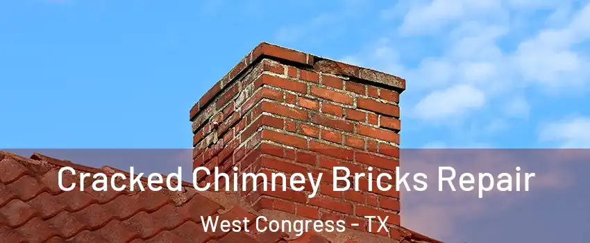 Cracked Chimney Bricks Repair West Congress - TX