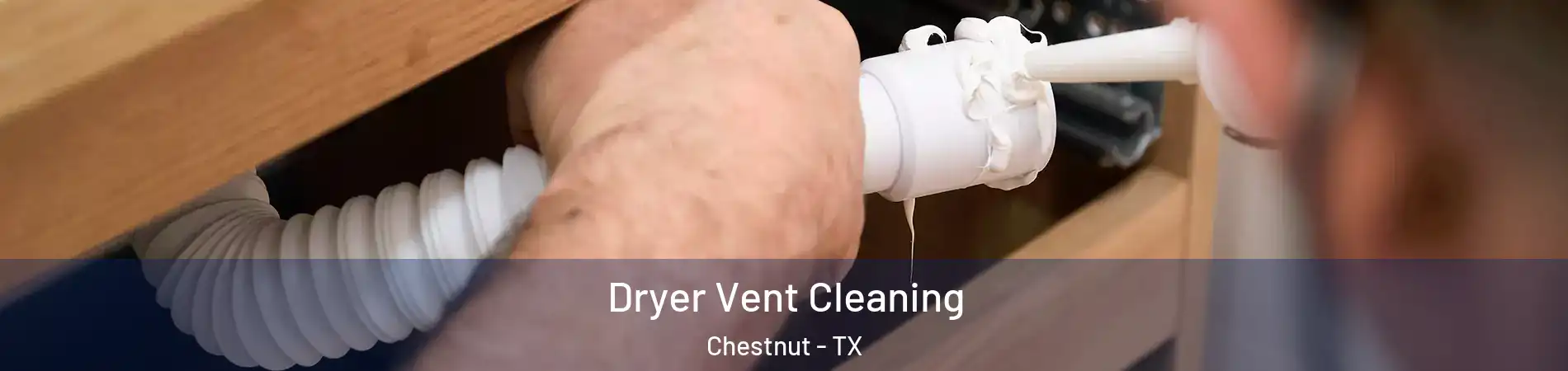 Dryer Vent Cleaning Chestnut - TX