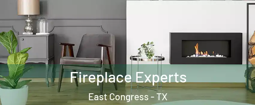 Fireplace Experts East Congress - TX
