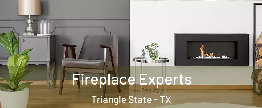 Fireplace Experts Triangle State - TX