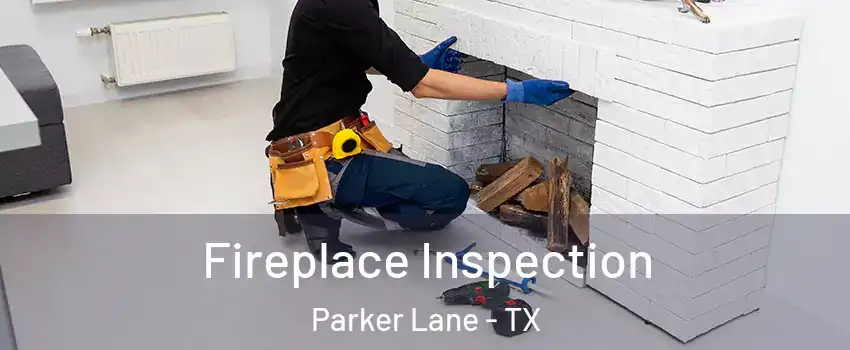Fireplace Inspection Parker Lane - TX
