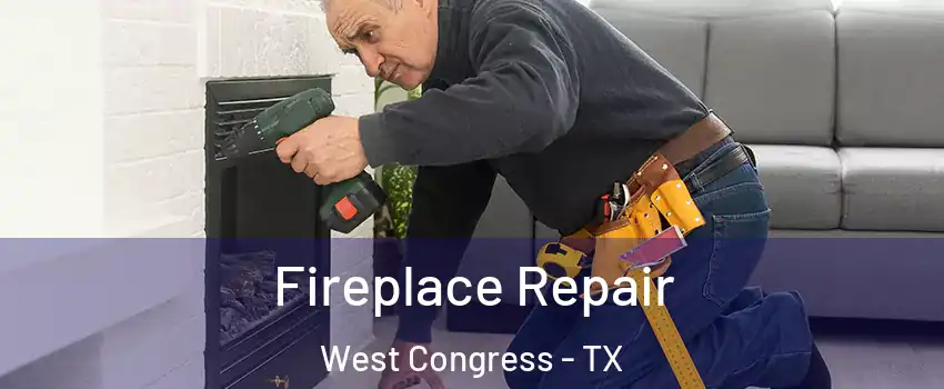 Fireplace Repair West Congress - TX