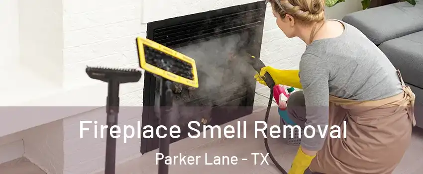 Fireplace Smell Removal Parker Lane - TX