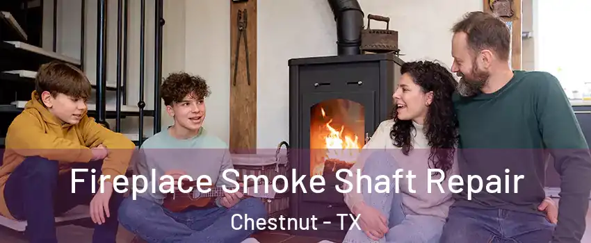 Fireplace Smoke Shaft Repair Chestnut - TX