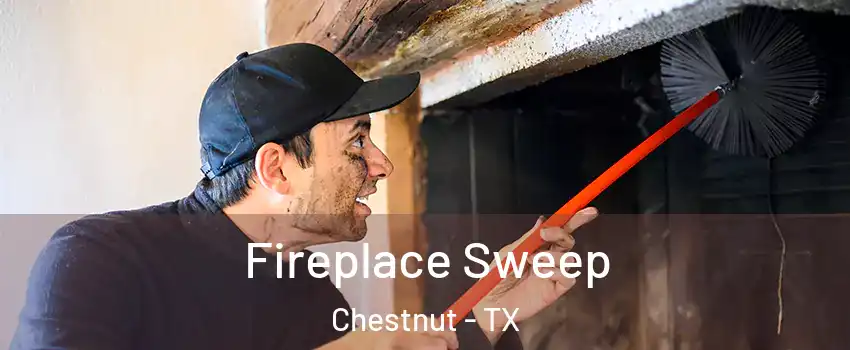 Fireplace Sweep Chestnut - TX