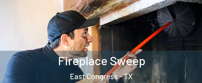 Fireplace Sweep East Congress - TX