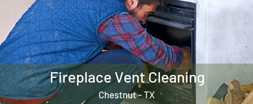 Fireplace Vent Cleaning Chestnut - TX