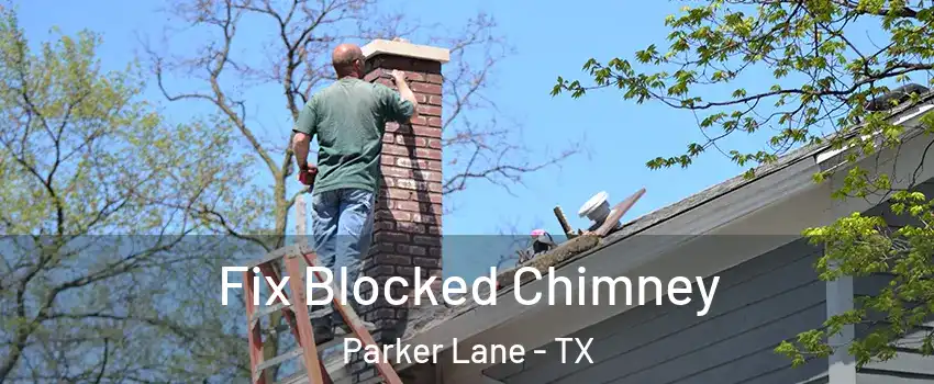 Fix Blocked Chimney Parker Lane - TX