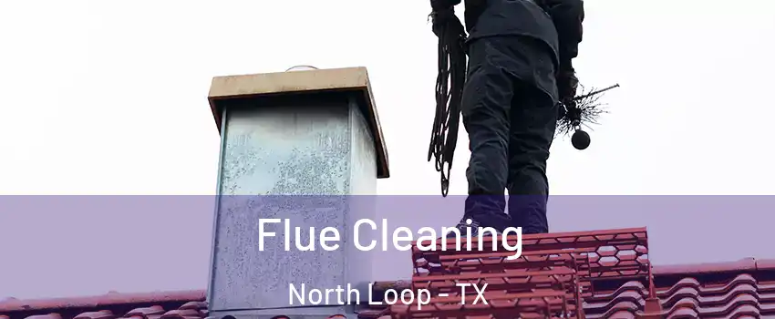 Flue Cleaning North Loop - TX