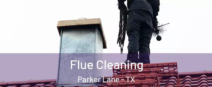 Flue Cleaning Parker Lane - TX
