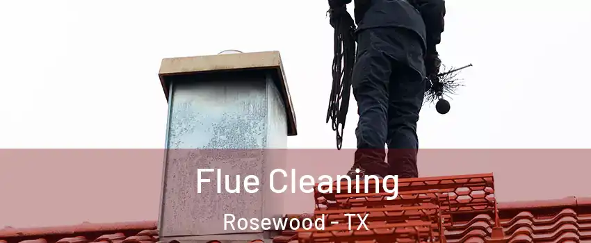 Flue Cleaning Rosewood - TX