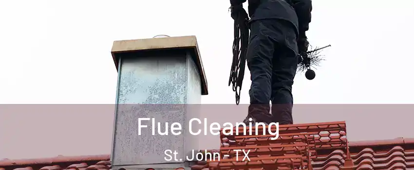 Flue Cleaning St. John - TX