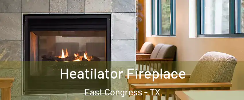 Heatilator Fireplace East Congress - TX