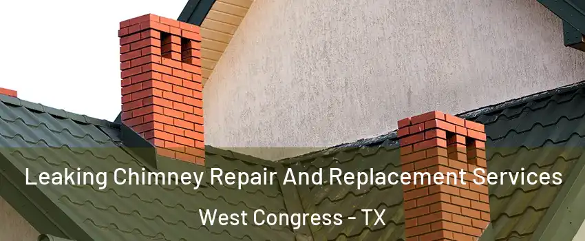 Leaking Chimney Repair And Replacement Services West Congress - TX