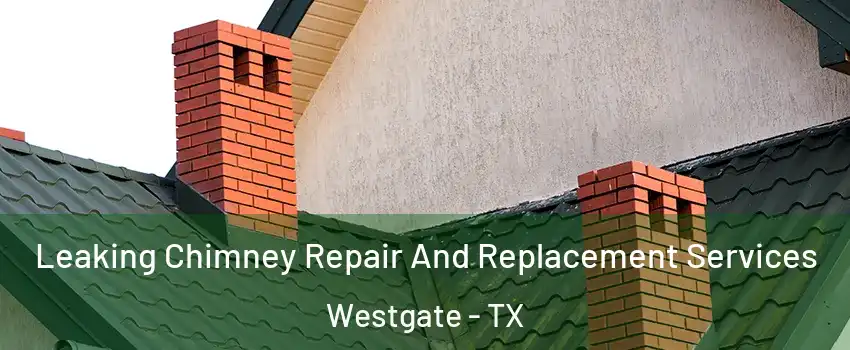 Leaking Chimney Repair And Replacement Services Westgate - TX