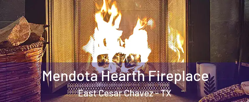 Mendota Hearth Fireplace East Cesar Chavez - TX